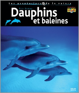 eric demay spécialiste des dauphins